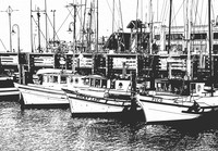 Fisherman's Wharf