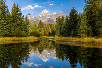 Schwabacher's Landing, Grand Teton National Park