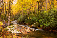Autumn Stream