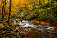 Autumn Stream