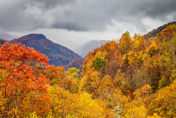 North Carolina Mountains