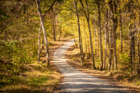 Autumn Road