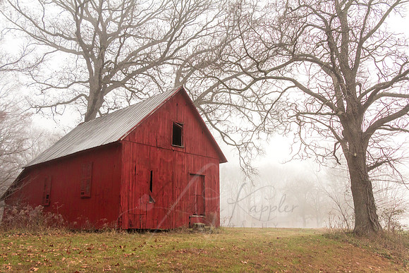 barn, red, fog, fall, winter