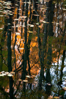 Fiery Reflection