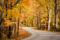 Road to Somewhere
