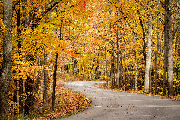 Road to Somewhere