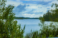 Lakeview