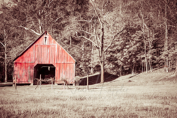 Hillside Barn