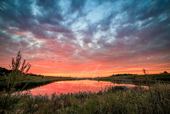 Fiery  Sunset