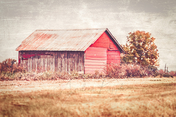 Faded Barn