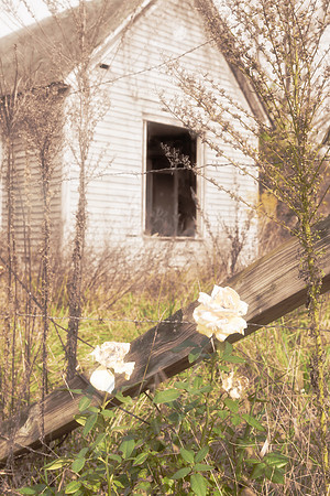Abandoned House