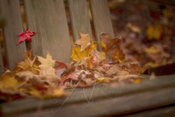 Gathered Leaves