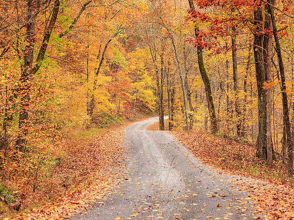Autumn in Pounds Hollow