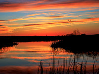 Goose Pond Sunset