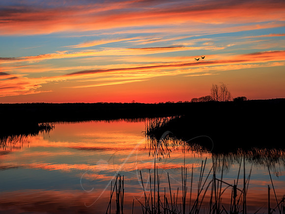 Goose Pond Sunset