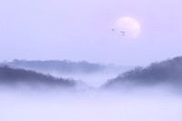 Lake Monroe Moonrise