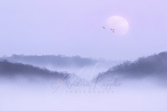 Lake Monroe Moonrise