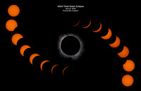 2024 Total Solar Eclipse (11x17)