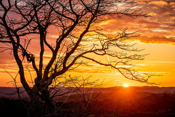 Garden of the Gods Sunset
