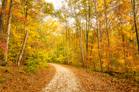 Brown County Backroad
