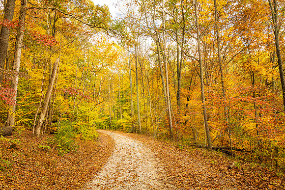 Brown County Backroad