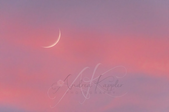 Crescent Moon