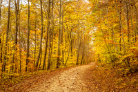 Brown County Backroad