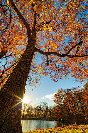 Setting Autumn Sun