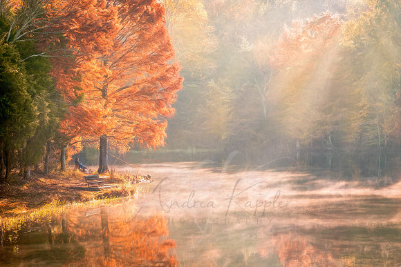 Saturday Morning Fisherman