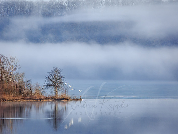 Lake Monroe