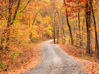 Autumn in Pounds Hollow
