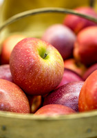 Fresh Apples
