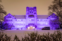 Purple Night