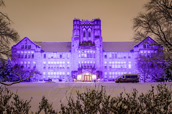 Purple Night