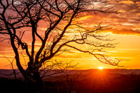 Garden of the Gods Sunset