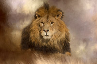 Cecil