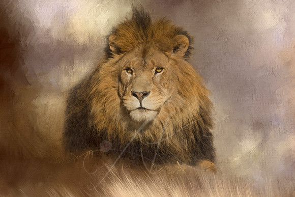 Cecil