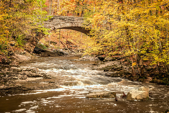 McCormick's Creek State Park