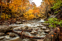 McCormick's Creek State Park