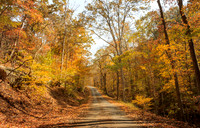 Autumn in Pounds Hollow